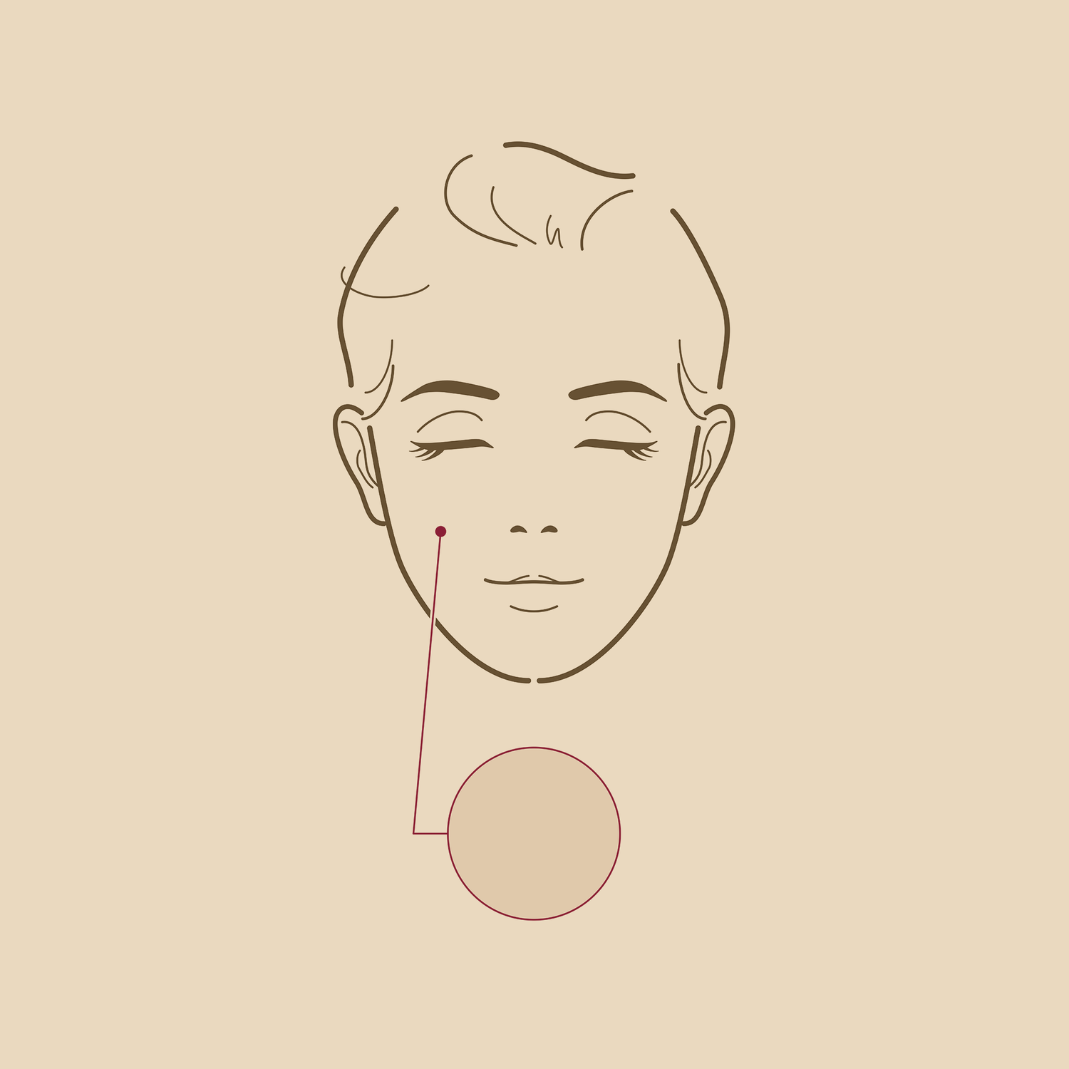 Normal Skin