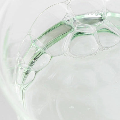 Beauty of Joseon Green Plum Refreshing Toner: AHA + BHA